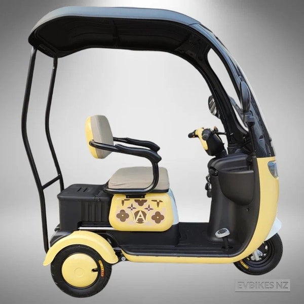 TM7 Electric Scooter with Canopy Carousel 2