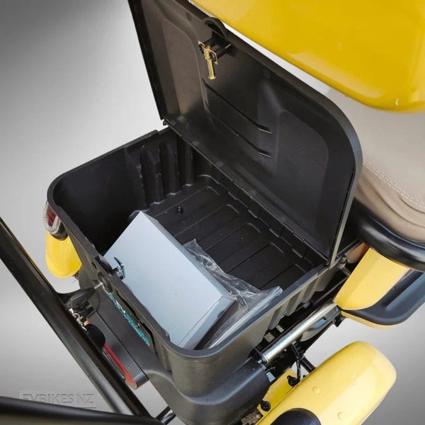 TM7 Electric Scooter with Canopy Carousel 6