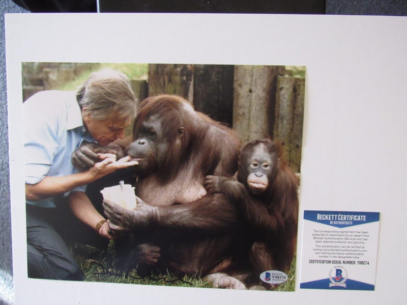 Sir David Attenborough stunning signed large Photograph + Authentication Carousel 1