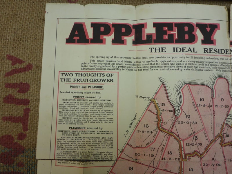 Scarce Early NZ Land Lease Map Appleby Apple Lands Stewart's Estate New Zealand Carousel 2