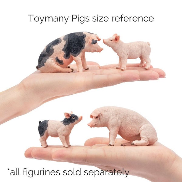 Toymany Pig Male Sitting Carousel 6