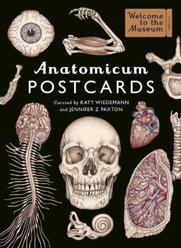 Anatomicum Postcard Box (Cards) Carousel 1