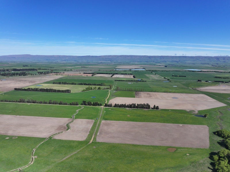 Rothesay Downs63962320403329110