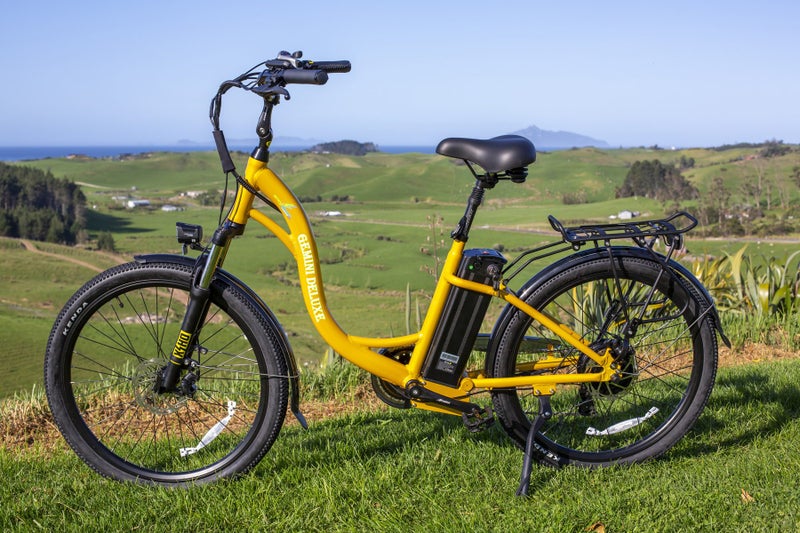 GEMINI DELUXE : E-MOTION PLUS64491719935745110