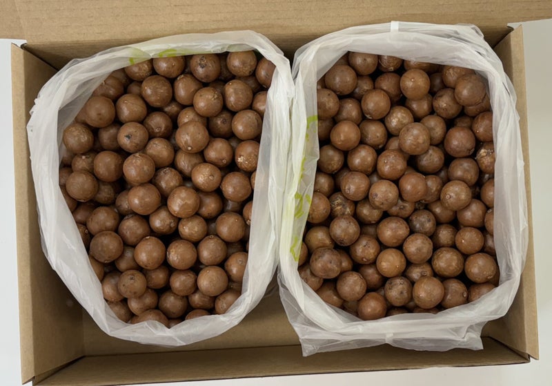 Macadamia nuts-in-shell 4.5kg box 2024 CUTIES GRADE Carousel 1