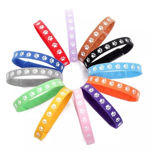 Hook n Loop with paw print Carousel 1