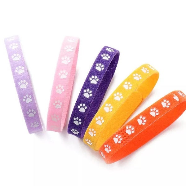Hook n Loop with paw print Carousel 2