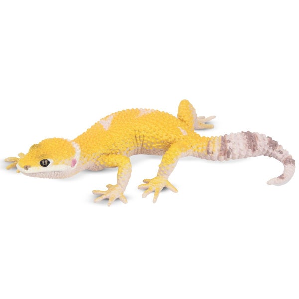 Toymany Leopard Gecko Carousel 1
