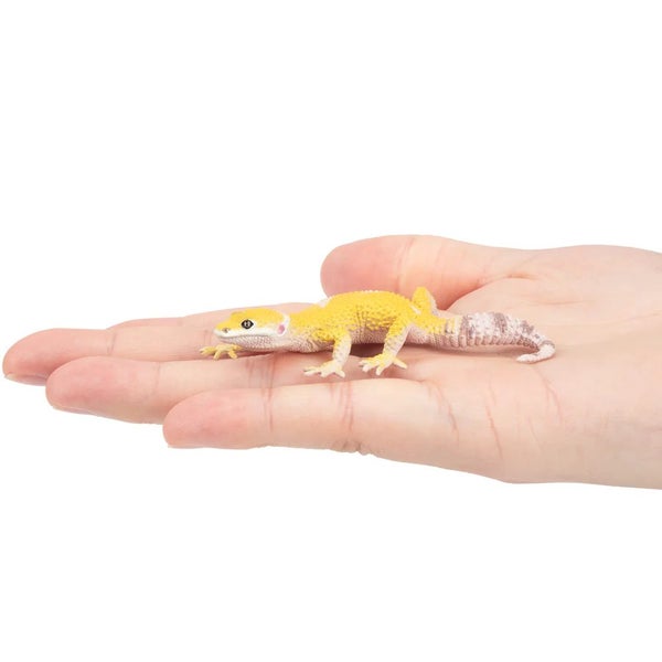 Toymany Leopard Gecko Carousel 2