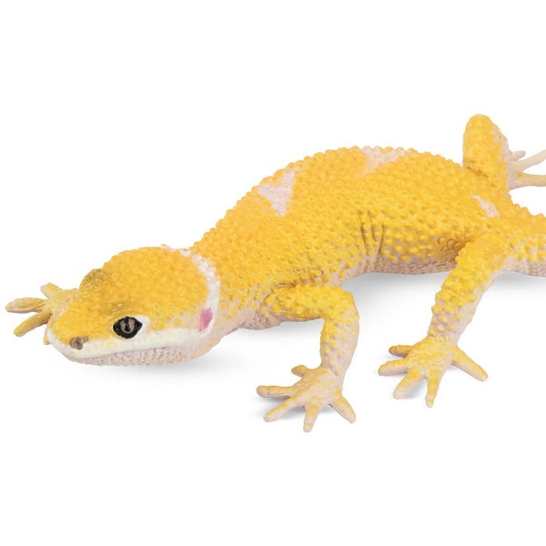 Toymany Leopard Gecko Carousel 5
