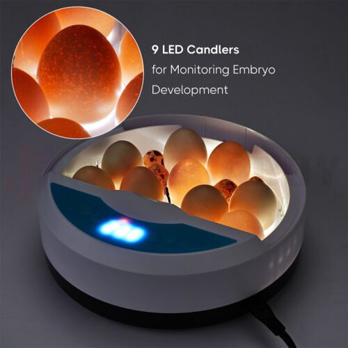 PTN New Egg Incubator Automatic Sale Sale Carousel 2