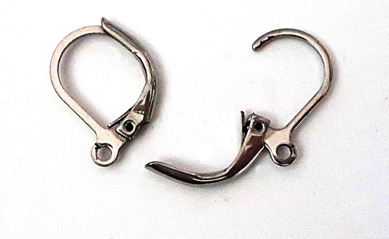 2 PAIRS SURGICAL STAINLESS STEEL LEVER BACK EARRINGS Carousel 1