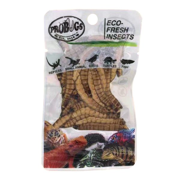 Superworms - Probugs Reptile Carousel 1