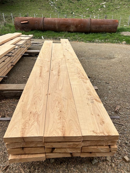 MACROCARPA Dry all sizes in stock or can cut Carousel 1