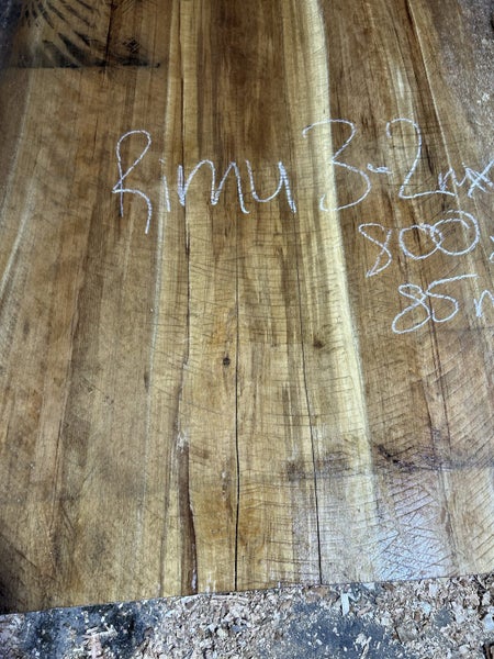 RIMU SLAB 3.2m 800mm x 85 Carousel 2