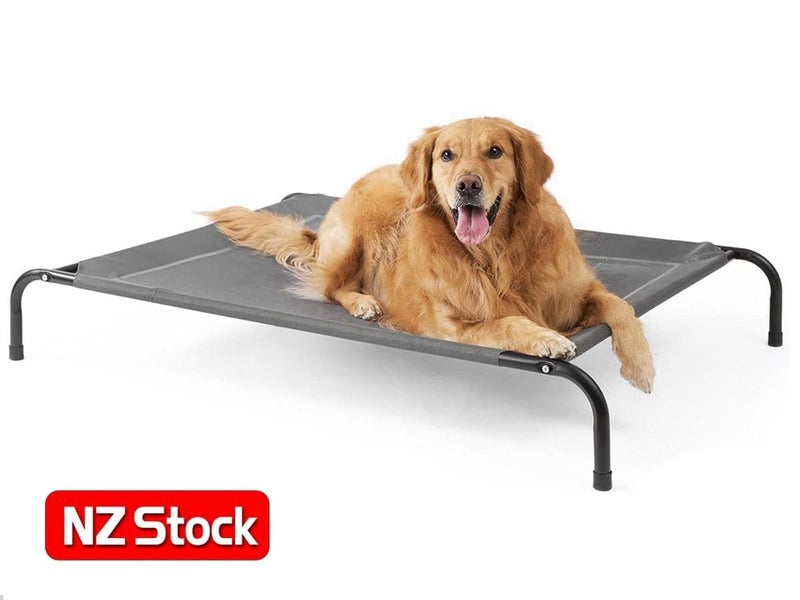 PTN NEW Dog Bed Sale Sale Carousel 1