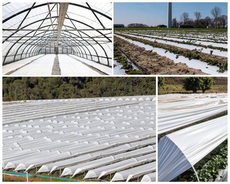 Scaffolding Shrink Wrap Carousel 7