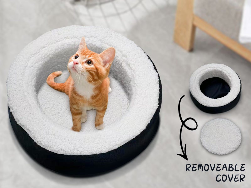 Pet Bed Carousel 2