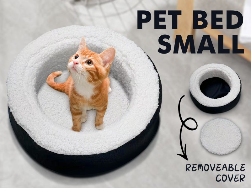 Pet Bed Carousel 8