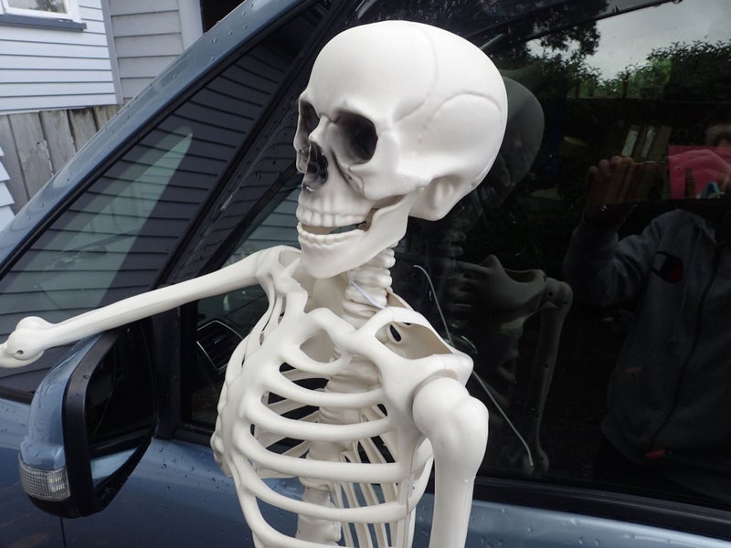 SKELETON full lifesize poseable 152cm movable bones and skull (A) Carousel 2
