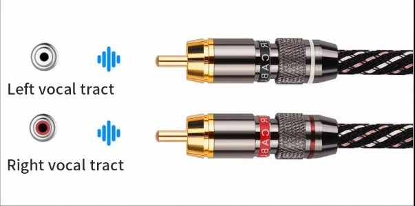 THICK HIFI Stereo RCA Audio Cable 6N OFC 2RCA to 2RCA + Gold Plated Plug 2m Carousel 9