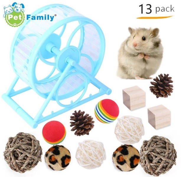 Hamster Toys Set 13pcs Guinea Pig Carousel 1