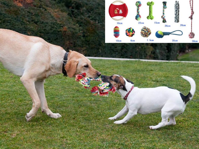 Dog Rope Chew Toys 10 Pack Set Carousel 4