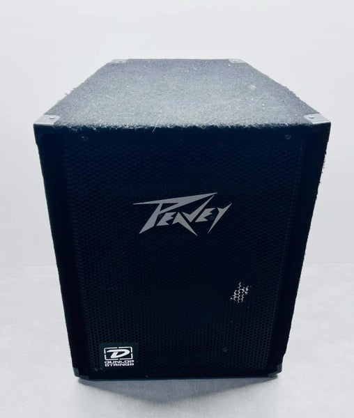 Peavey PVI 112 PA Speaker Carousel 2