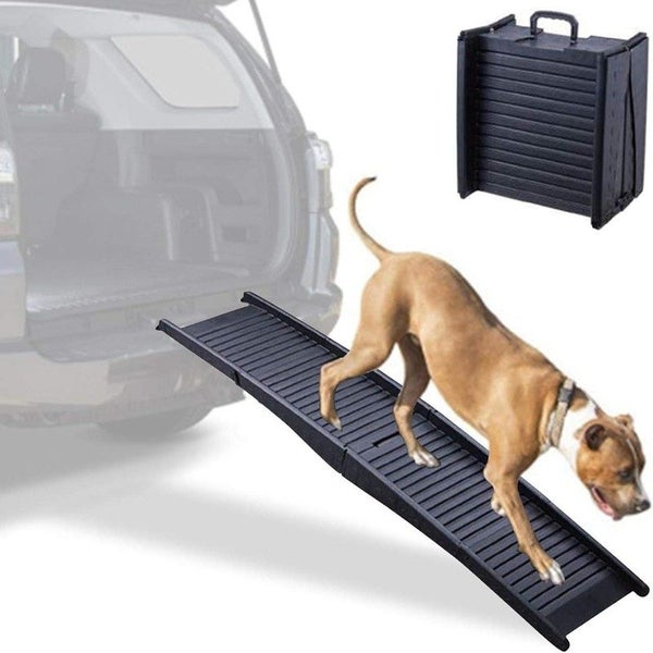 Pet Ramp New Carousel 8