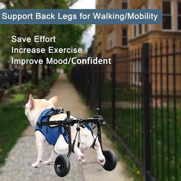 Dog Wheelchair for Back Legs -S Carousel 2