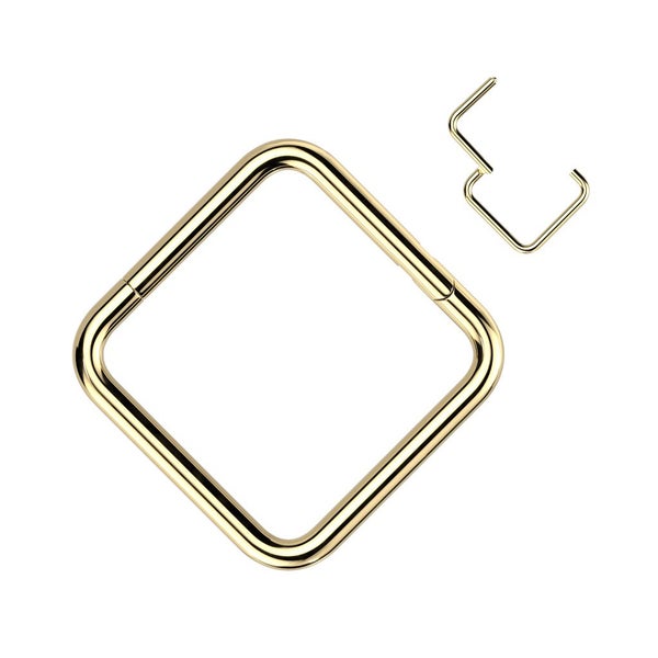 Implant Grade Titanium Square Hinged Segment Ring. 3 colours availlable. Carousel 1