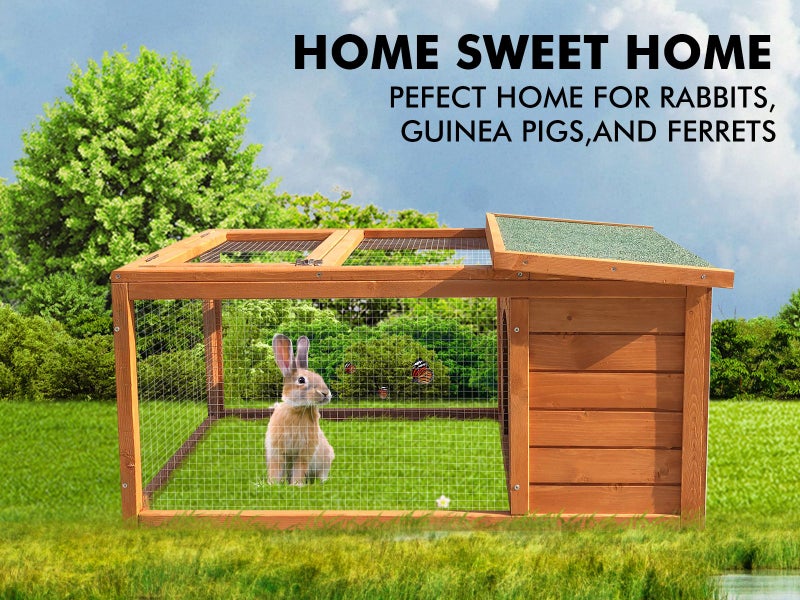 Rabbit Hutch Carousel 1