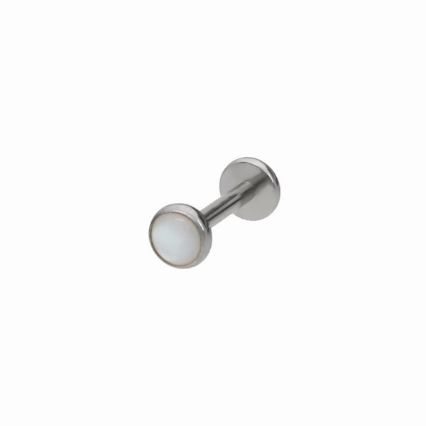White Shell Top Titanium Flat Back Stud Earrings Carousel 1