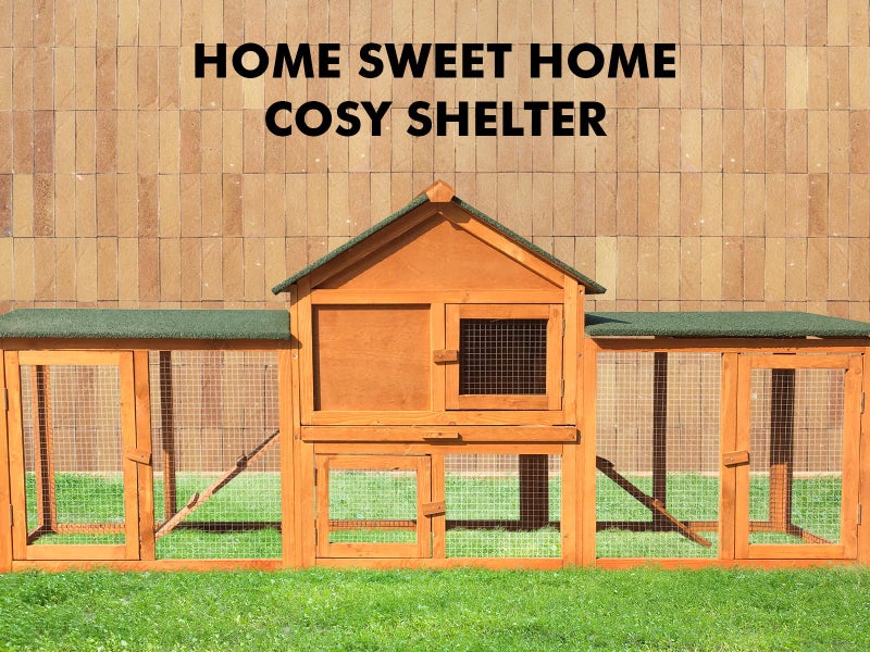 Rabbit Hutch Carousel 1