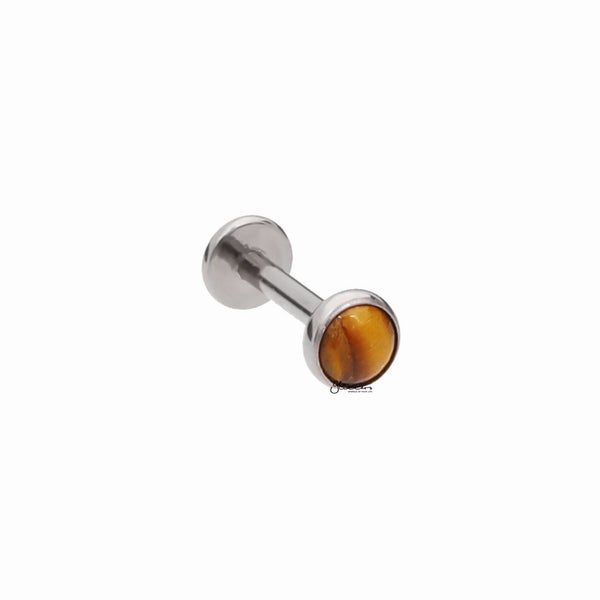 Natural Stone Top Titanium Flat Back Stud Earring - Tiger Eye Carousel 2