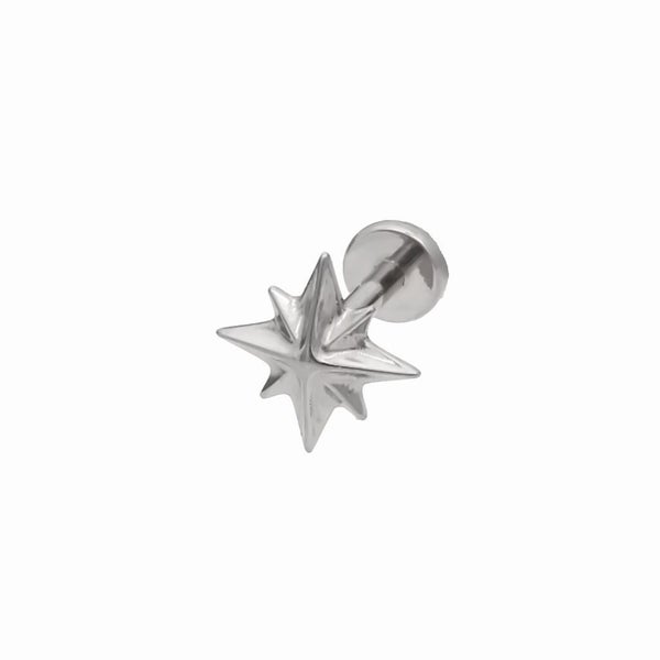 Starburst Top Titanium Flat Back Stud Earring Carousel 1