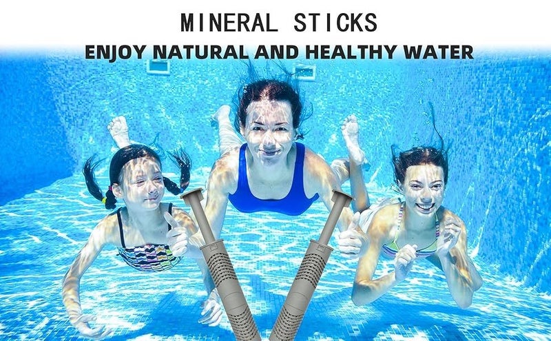 Hot Springs Silver Ion Cartridge Carousel 1