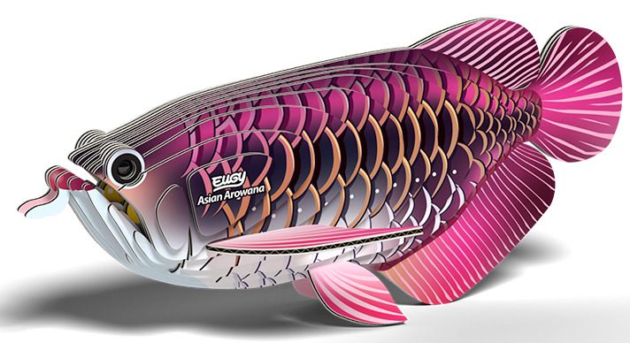 Eugy: Asian Arowana - 3D Paper Model Carousel 2