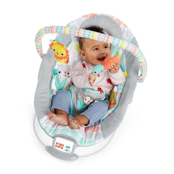 Bright Starts: Cradling Bouncer - Whimsical Wild Carousel 5