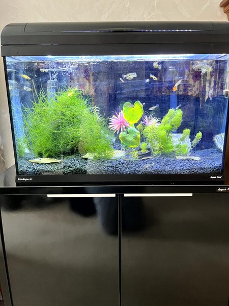 Fish tank gravel Black 13KG Carousel 3