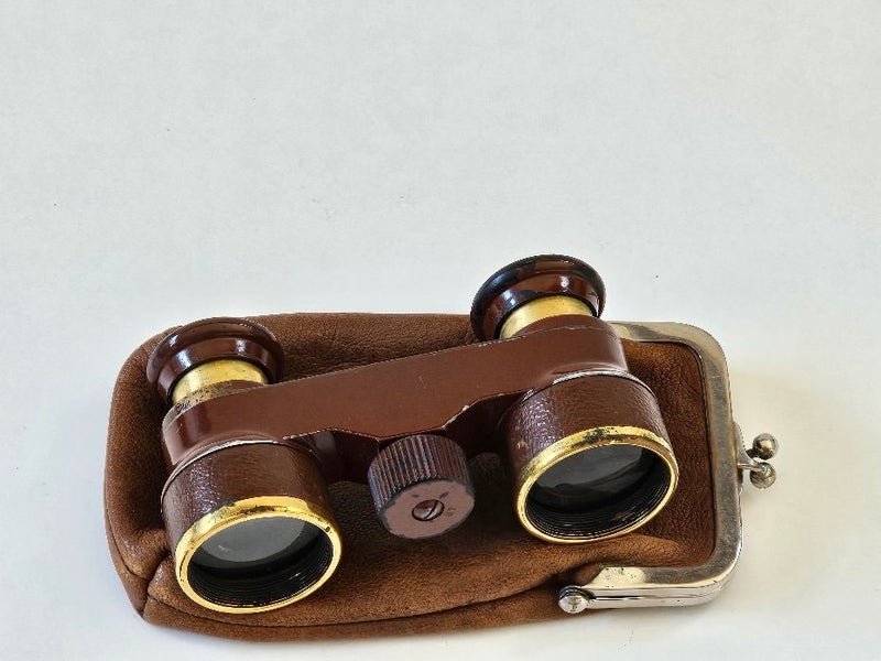 Vintage binoculars/opera glasses with central adjustment for focus. "Eldis" Carousel 2