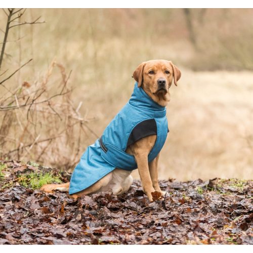 Winter Coat for Dogs - Riom XS/30cm (Blue) Carousel 3