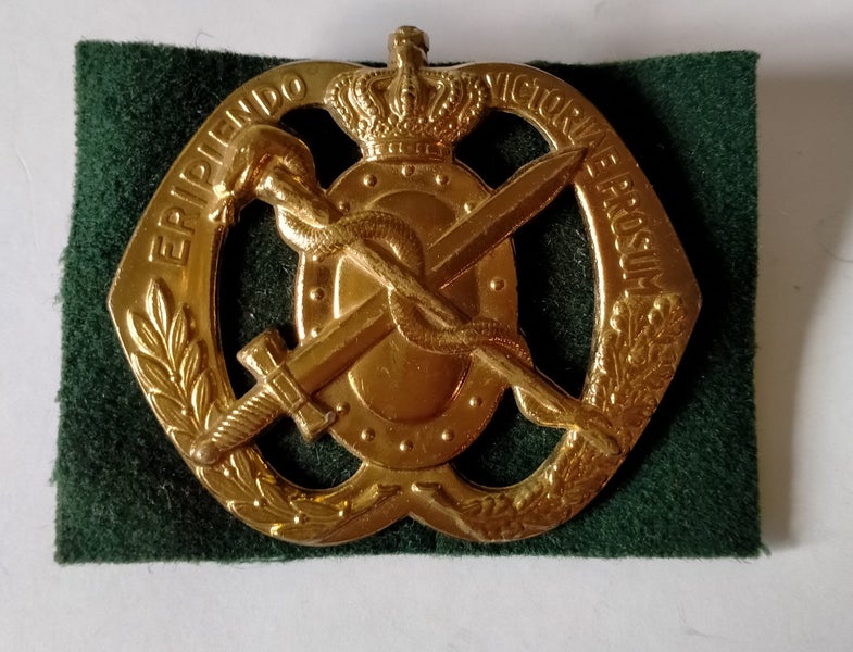 NETHERLANDS ARMY MEDICAL CORPS BADGE - CLEARANCE SALE Carousel 2