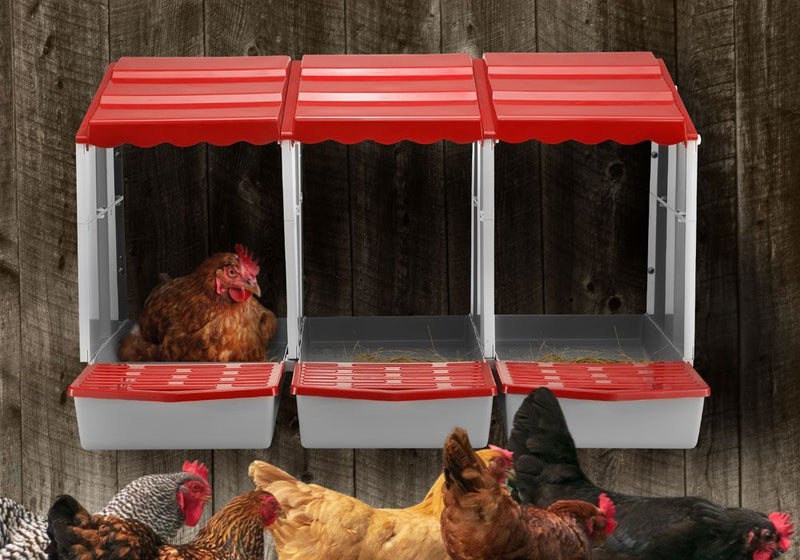 3 Hole Chicken Nesting Box Roll Away Chook Hen Laying Boxes Modular Nest House Carousel 1