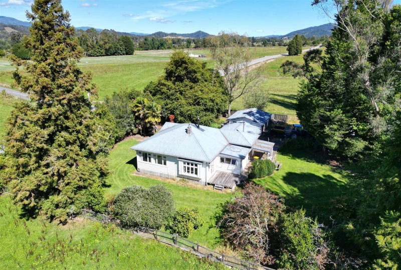 HIGH PRODUCER BULLER 270 COWS64195670355970114