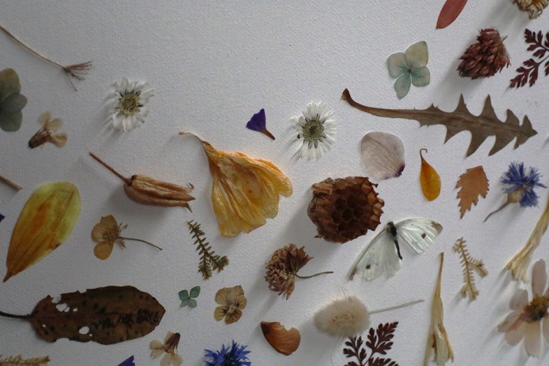 Artwork - Nature's Self Portrait Carousel 10