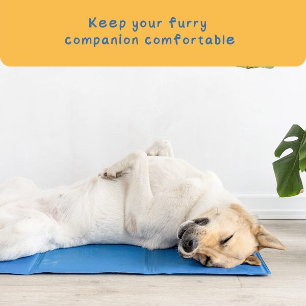 Paw Paws Pet Cooling Mat Blue XX-Large Carousel 2