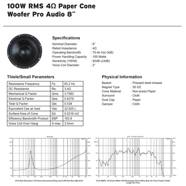 8" Woofer 100W 4 Ohm Carousel 3