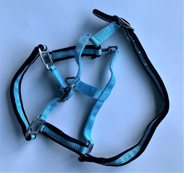 STOCK CLEARING SALE- 3 X HORSE HALTERS CUSHION WIEVED IN PP WEBBING Carousel 2