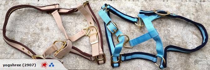 STOCK CLEARING SALE- 3 X HORSE HALTERS CUSHION WIEVED IN PP WEBBING Carousel 5